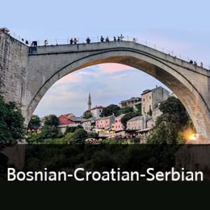 Bosnian-Croatian-Serbian